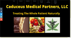 Desktop Screenshot of caduceusmedicalpartners.com